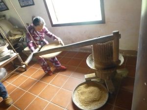 Getting a demo on using rice farming/harvesting equipment!